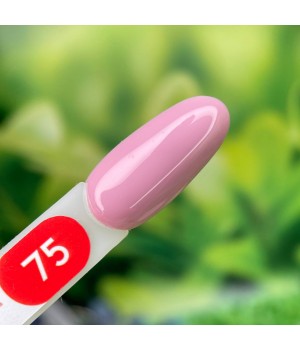 База French Rubber Base Roks 12 ml №75 TPO free